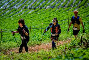 BIB: 
                            <button type="button" onclick="openModal(19164694)" class="btn btn-primary btn-sm float-right btn-popup" data-toggle="modal" data-target=".modal-high-quality">
                        <i class="fas fa-shopping-cart"></i> Add to Cart
                    </button>
                                            <button type="button" onclick="isThisMe(19164694, true)" class="btn btn-success btn-sm float-right btn-popup btn-isme hidden" data-toggle="tooltip" data-placement="bottom" title="นี่คือรูปของคุณใช่ไหม คลิกที่นี่เพื่อเอาเข้าอัลบั้ม">
                        <i class="fas fa-plus"></i> Add to album
                    </button>
                    <button type="button" onclick="isThisMe(19164694, false)" class="btn btn-warning btn-sm float-right btn-popup btn-isnotme hidden">
                        <i class="fas fa-ban"></i> Remove from album
                    </button>